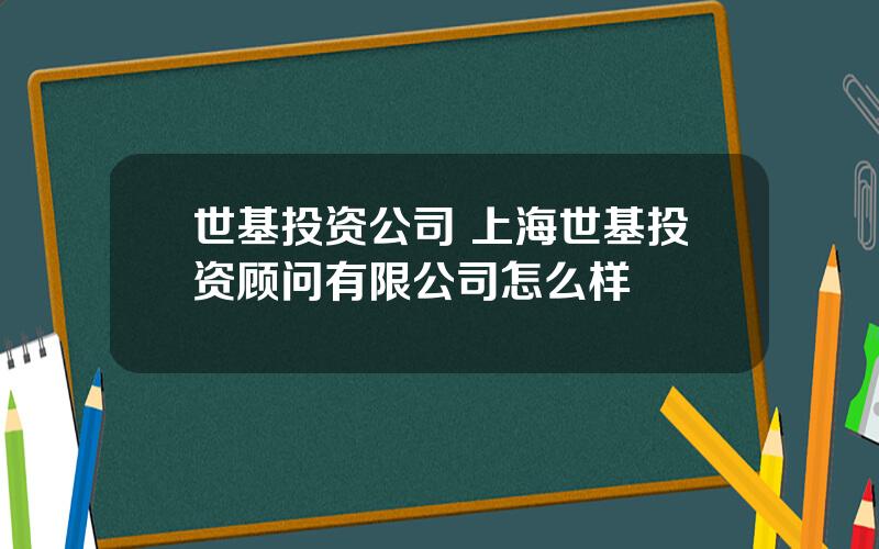 世基投资公司 上海世基投资顾问有限公司怎么样